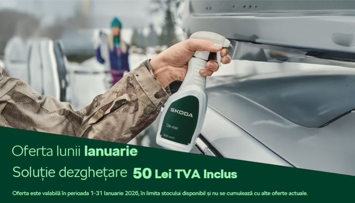 Oferta Lunii Ianuarie Skoda
